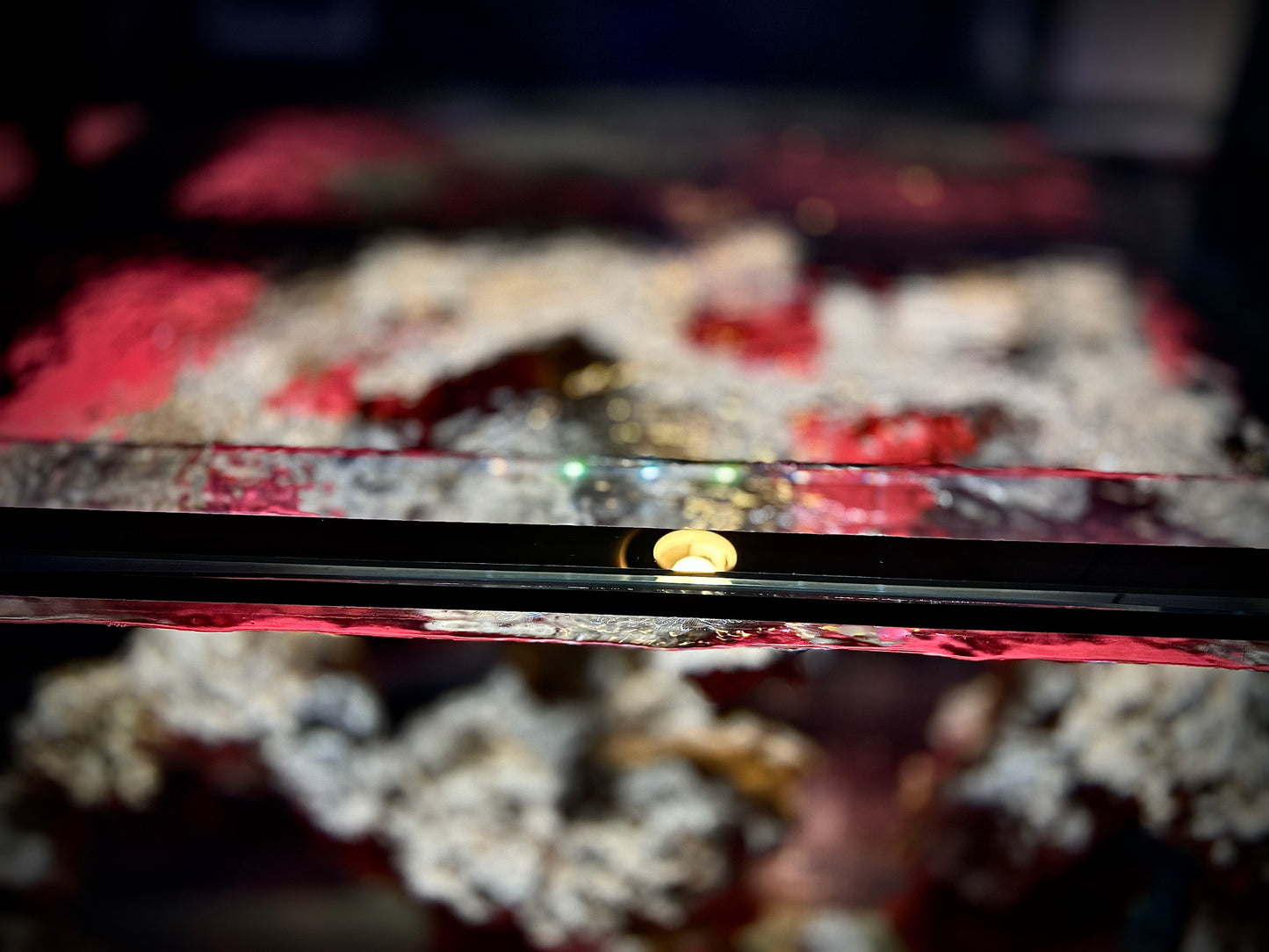 Lituya Bay 155

60” × 30” × 20” · ~155 Gallons Display