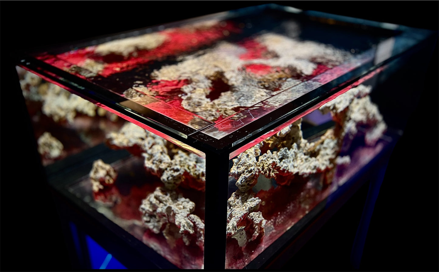 Lituya Bay 155

60” × 30” × 20” · ~155 Gallons Display